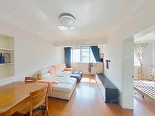 田林 · 长春新苑 · 3室 1厅,飞机户型,近桂林路轨交