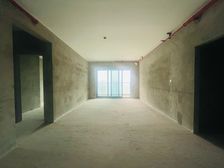 亏本急售两江新区 江北嘴公园里 四房公园大平层 龙湖物业