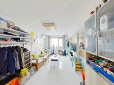 杨庄中区 1室1厅 南