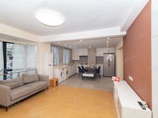 巴黎经典顶楼复式,精装全配,房型方正,看房方便,近地铁