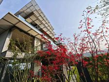 爱琴海商圈 必看好房 金科紫郡精装四房 拎包入住送车位