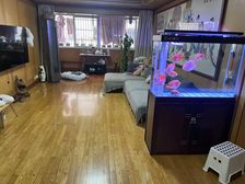 龙柏花园 中庭 边户 全亮 翻新装修 业主自住 拎包入住