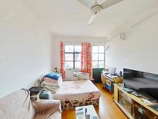 八万人体育场旁 佰年求知+田三 双南大两房 采光无遮挡
