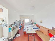 小两房格局 挂价不是问题 先看在谈 户型好 睹书不出小区
