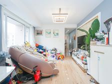 普陀曹杨南北两房 2000年电梯中层 环球港商圈