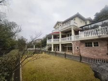 浦东大花园独栋+地铁口价格洼地+稀缺资源+绿洲千岛临河景观