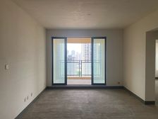 石马河 国奥村三房117万