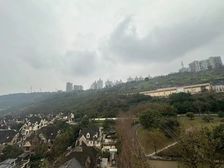 新上临崖独栋 600平花园 业主已做基装 看公园 全套房