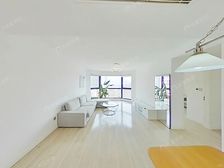 百+年巨鹿路,品质外销房,高区视野景观房,远看三件套