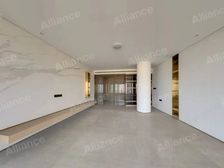 渝中区高处俯瞰半个重庆 精装大平层 一层一户 户型通透