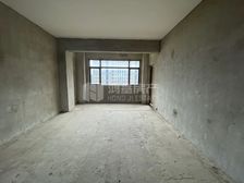 九龙湖花园一期高楼层南北通透4房带车位急售