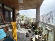 凤岭北 枫林蓝岸 电梯小洋房 楼中楼 近地铁口