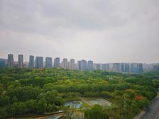 送车位 渝北中央商务区 万科翡翠公园精装大平层 视野无遮挡