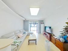 金汇明星楼盘+高层大两房+满五年+诚意出售+出门万象城