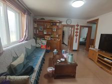 南北通透沿湖南区3室1厅精装修