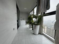 伟星壹号院3房南精装真实好房