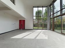 渝北区 华侨城蓝楹湾 后现代风格别墅急售