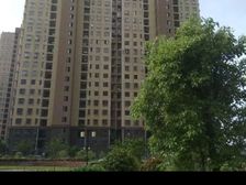 丰收佳苑二期2房南毛坯真实好房