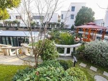 东园雅集轩 716平7居 南向豪华装修大独栋大花园采光好
