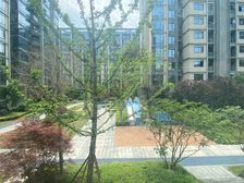 龙湖昱湖壹号枋园 低楼层 看小区中庭景观更加及致