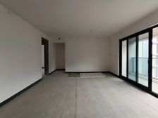 前后中庭,品质纯洋房,全玻璃幕墙,不要中介费