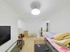 9号佘山站旁,去年新装修,全新未入住,即买即住