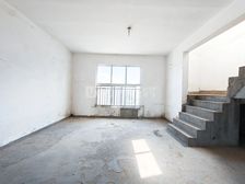 电梯房 毛坯 255平 南北通透 5室 房东急置换 诚心出售