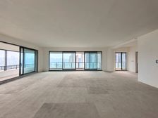 半山豪宅 板式洋房 看江无遮挡 看游轮母港 房源保真