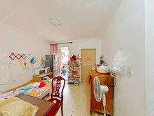 浦东三林·三林新村 全明户型 1房1厅 景观楼层 近11号线