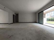 内环大花园洋房 龙湖+万达商业 龙湖焕城林屿 四房225万