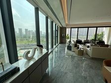 锦江生态带!江景豪华大平层!两梯两户三面采光!空中私人会所