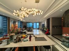 长嘉汇四期 270°采光 低区看江 精装带软装 拎包入住