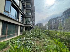 云麓台一组团 大花园端户 性价比蕞高 区域带花园性价比蕞高