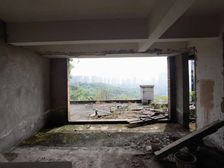 临涯双拼 视野开阔 上下花园300平 单层面积150平