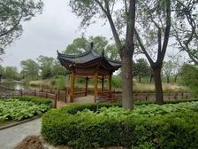 【震撼低价】超值好房!君山独栋 328平 大花园 489万