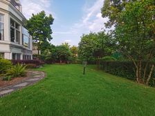 龙湖香樟林,精装独栋,雍容典雅,一花一木,举目惊艳