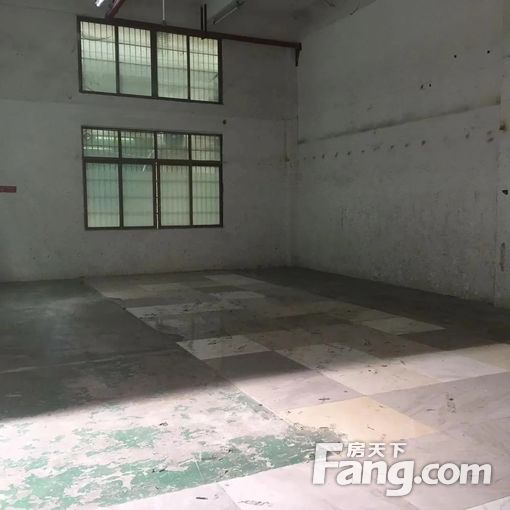 东联工业区169方优质厂房