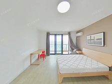 三林11号线地铁 靠河景观位置 纯商品房 飞机户型