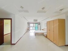 中环边 +近地T+ 2009年商品房+金色中环带+花园氧吧