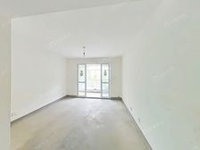 浦东三林世博家园,南北通透 动迁房近11号线有钥匙随时可以看