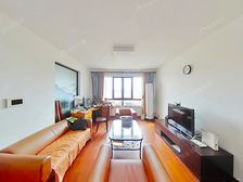 双轨交环R,近中环,北杨人工小镇旁,子女上交大,南北通三房