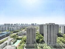 高区视野,冰点价格,欢迎咨询拿底价!非常诚意