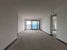 礼嘉之颠+华侨城171平+四房双卫洋房