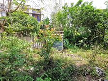 龙头寺联排端户 招商雍华府 带大花园 业主急售