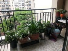 金科阳光小镇(长寿)2室2厅1卫南朝向55.0万元/套出售