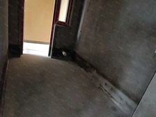 长寿凤城华府4室2厅2卫南朝向49.0万元/套出售