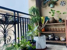 金科阳光小镇(长寿)3室2厅1卫南朝向73.0万元/套出售