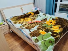 金科世界城(长寿)2室2厅1卫南朝向42.0万元/套出售