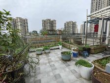 长寿美丽泽京4室2厅4卫南朝向180.0万元/套出售