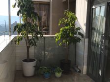 长寿东海假日花园2室2厅1卫南朝向48.0万元/套出售